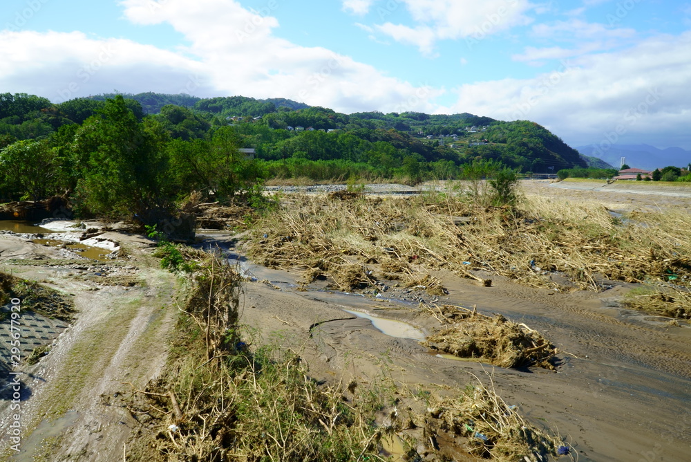 Flood damage caused by typhoon 19 