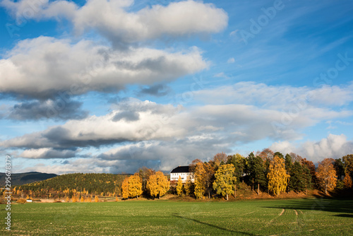 Photography Autumn in Norway near Oslo