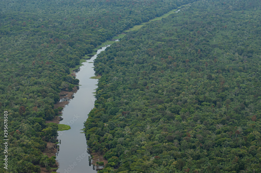 Fototapeta Visão aérea floresta e rio
