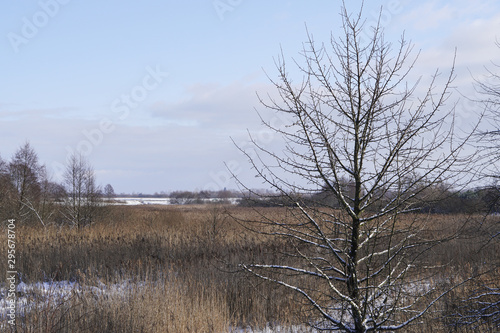 Beautiful winter landscape with a snowy river and lake. Christmas and New Year theme