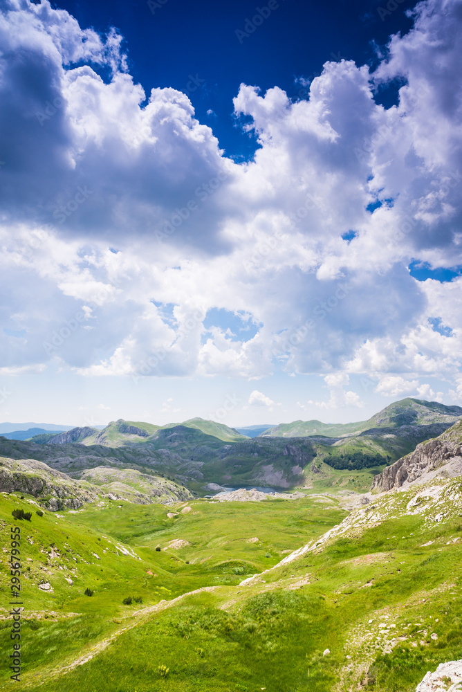 Fototapeta premium Field and blue sky