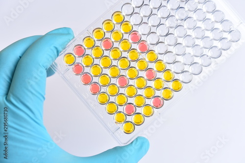 Enzyme-linked immunosorbent assay or ELISA plate, Immunology testing method in medical laboratory