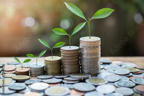 Plant money coins saving growth up to profit interest for concept investment mutual fund finance and business photo