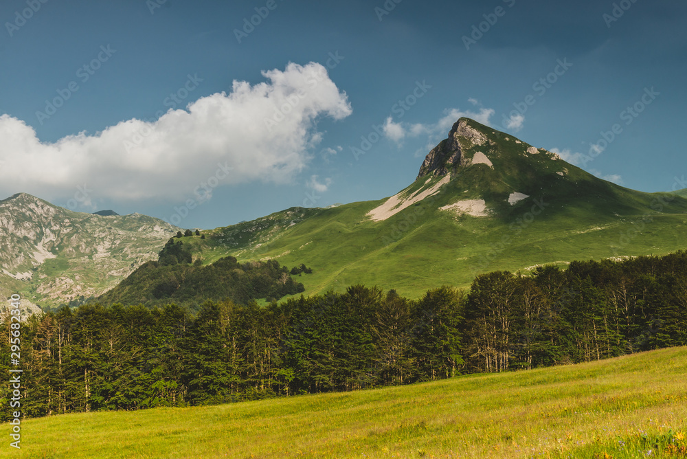 Fototapeta premium landscape with mountains and clouds