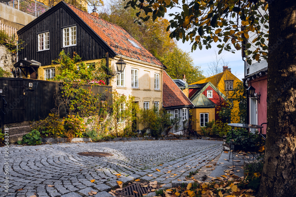 Obraz na płótnie Little street in old Oslo in late autumn, Norway w salonie