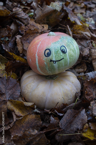 A pumpkin with a painted smiling face among the autumn leaves