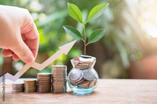 plant money coins saving growth up increase to profit interest for concept investment mutual fund finance and business