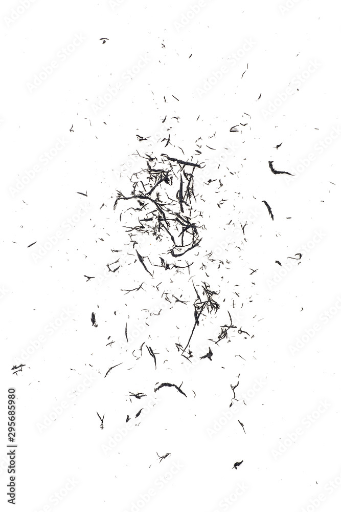 Eraser scrap on white background, black color. Top view. Eraser scrap on white background, black color. Top view.