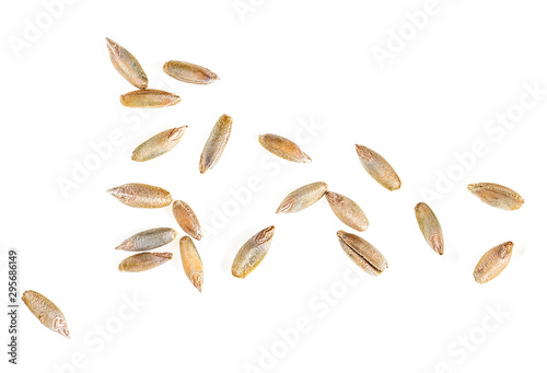 Rye grains isolated on a white background, top view. Macro.