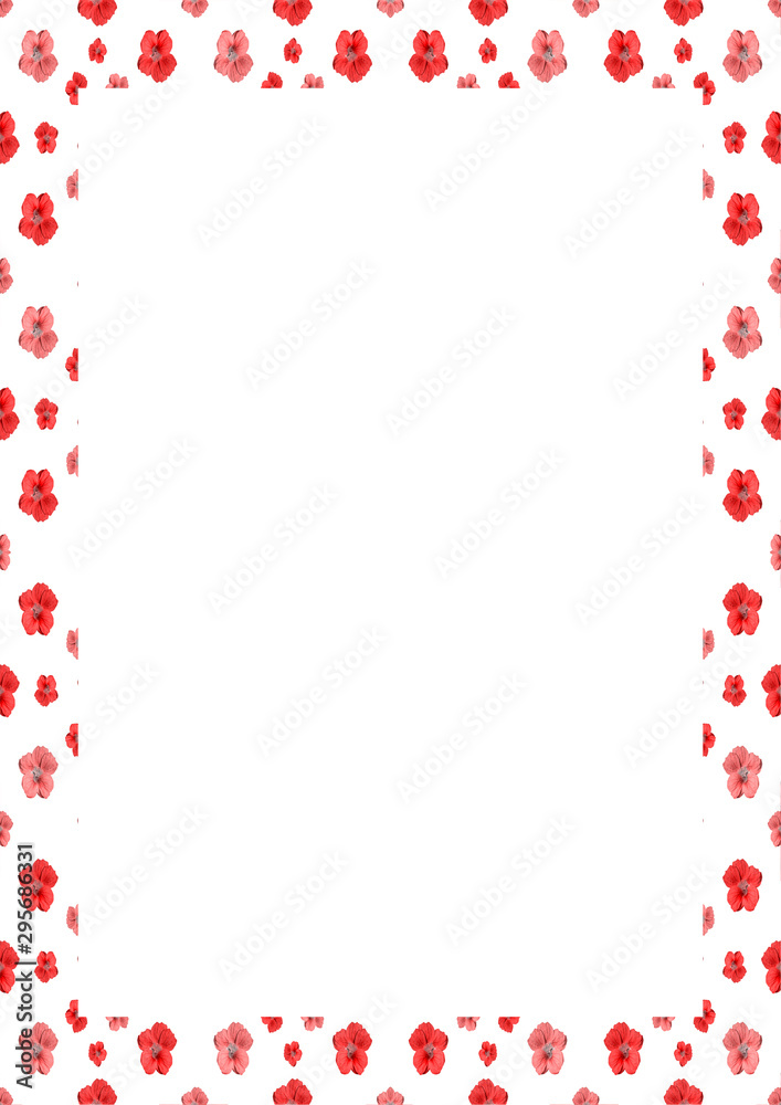 White Frame with Decorated Borders White Frame with Decorated Borders