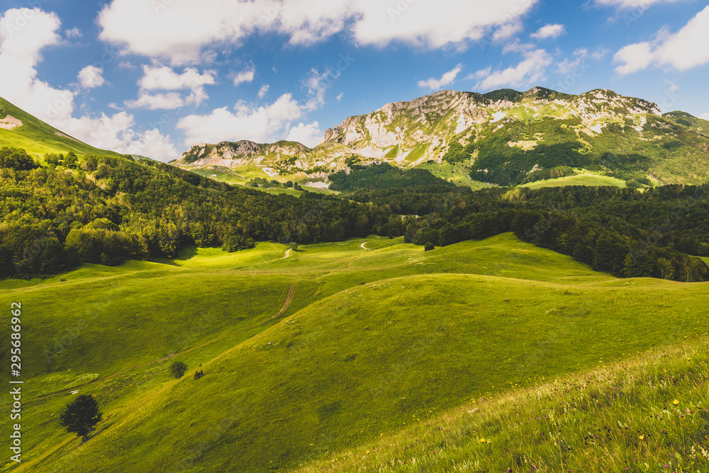 Fototapeta premium Landscape with blue sky