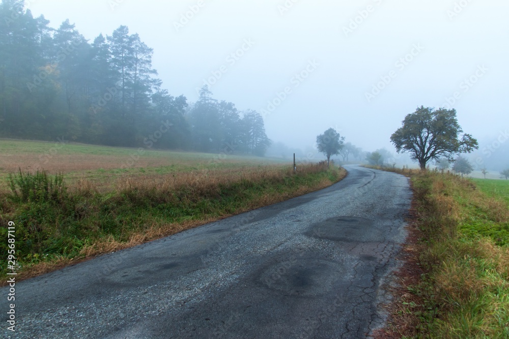 Morning autumn fog on country road. Autumn weather. Dangerous road. Foggy day.