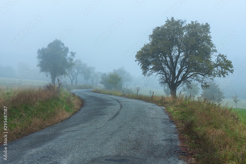 Morning autumn fog on country road. Autumn weather. Dangerous road. Foggy day.