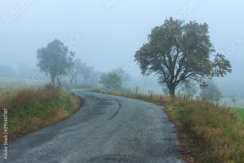 Morning autumn fog on country road. Autumn weather. Dangerous road. Foggy day.