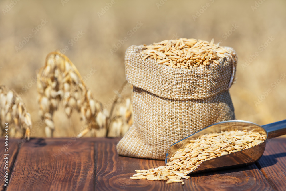 oat grains in bag