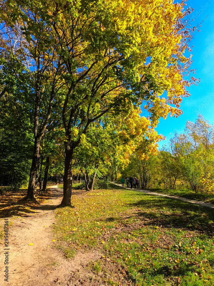 Naklejka premium Colorfull city park in the autumn season