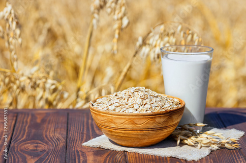 Billede på lærred vegan oat milk and oatmeal