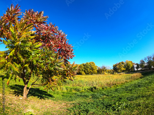 Colorfull city park in the autumn season