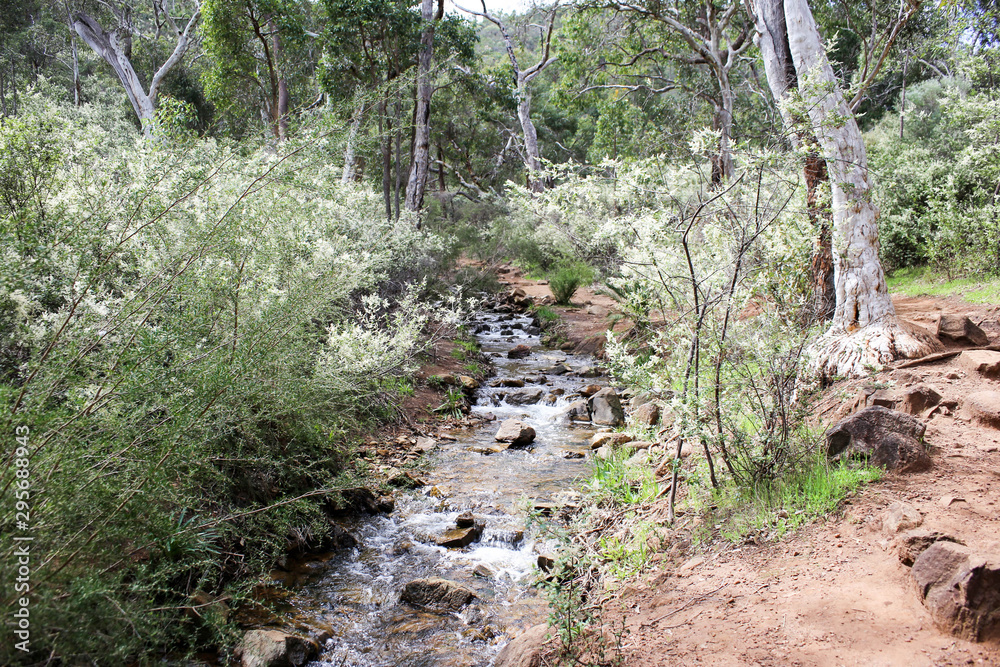 Waterfall in the bush (Lesmurdie Falls, Perth) Waterfall in the bush (Lesmurdie Falls, Perth)