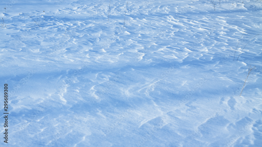 Obraz premium Snow-white snow and the earth sheltered by it. Countryside and snowfall. Winter dunes and mountains of snowflakes. Stock background.