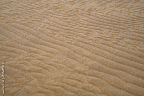 Natural patterns in the sand of tidal mudflats at low tide. UNESCO World Heritage, Wadden Sea, North Sea, Europe.