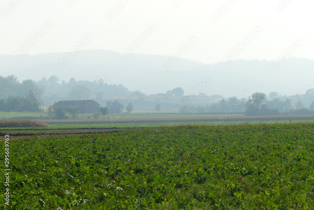 Fototapeta premium niederösterreichische Landschaft