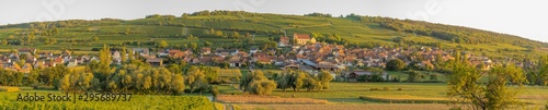 Dangolsheim, France - 09 17 2019: Panoramic view of the vineyards and the village at sunset.