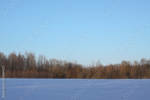 Beautiful winter landscape on a background of trees and forest. Christmas and New Year mood. Snowfall and the view as in a fairy tale