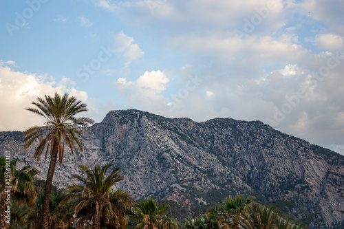The mountains by the beach with palm trees have a wonderful view that will delight you every morning.