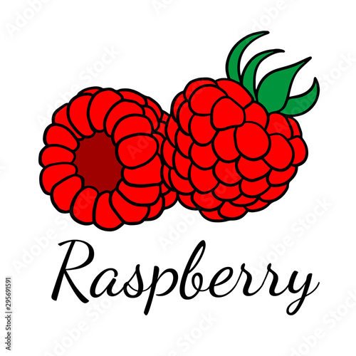  Doodle sketch raspberries, hand drawn berries illustration on white background