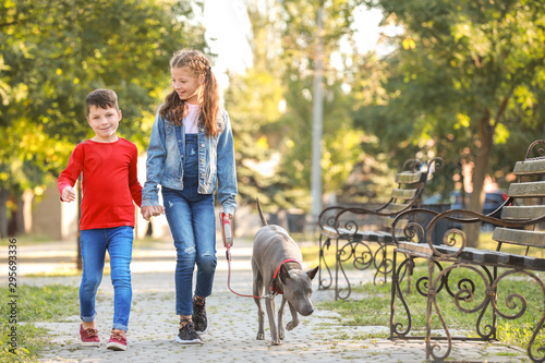 Little children with cute dog walking in park