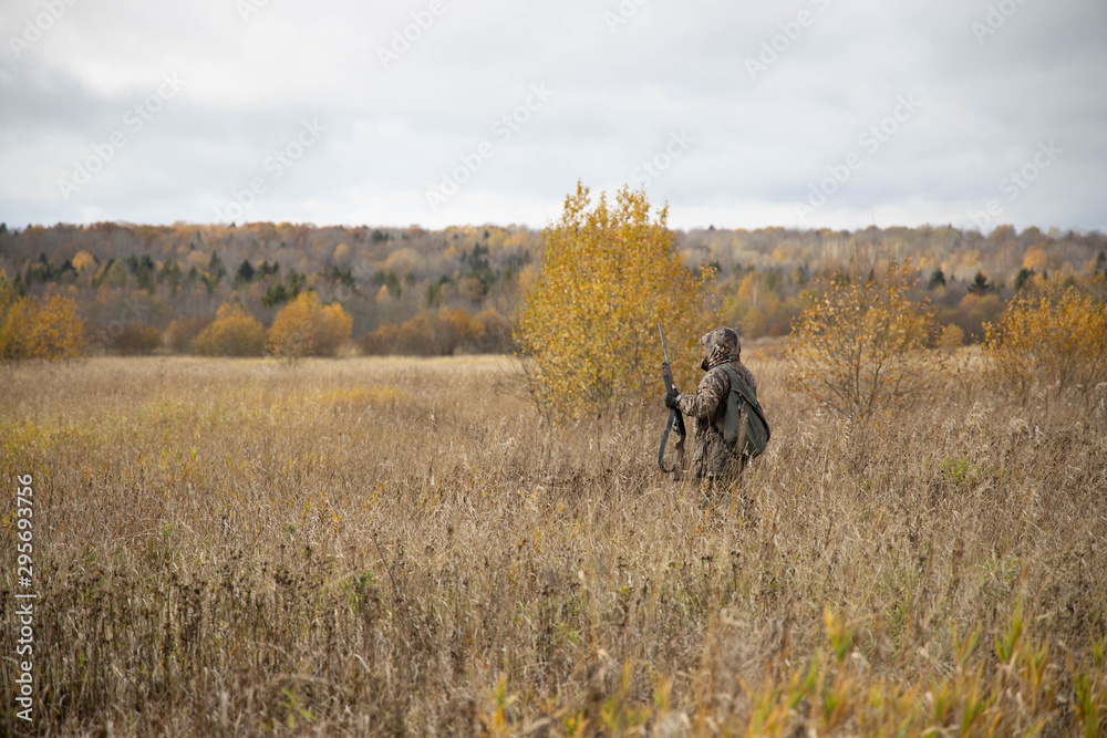 Naklejka premium The hunter is walking across the field, with weapons. Next to the dog is a springer spaniel. Autumn