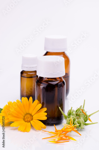 Fototapeta Naklejka Na Ścianę i Meble -  Dark cosmetic bottle of aromatic oil for herbal medicine with calendula flower isolated on white backdrop. Marigold extract.