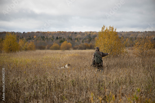 The hunter is walking across the field, with weapons. Next to the dog is a springer spaniel. Autumn photo