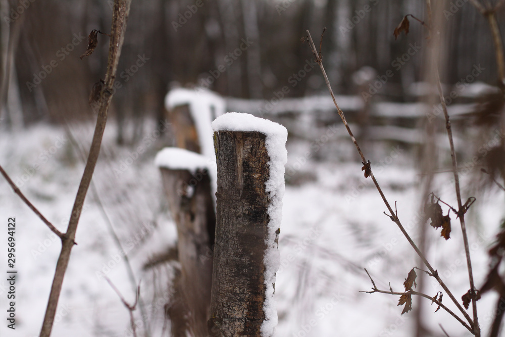 Fototapeta premium Winter landscape outside the city in the forest. Snowy fence in December. Christmas and New Year picture.
