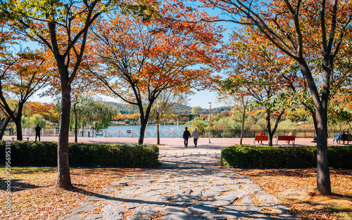 Autumn maple and lake at Incheon Grand Park in Korea photo