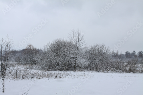Wallpaper Mural Beautiful winter landscape on a background of trees and forest. Christmas and New Year mood. Snowfall and the view as in a fairy tale Torontodigital.ca