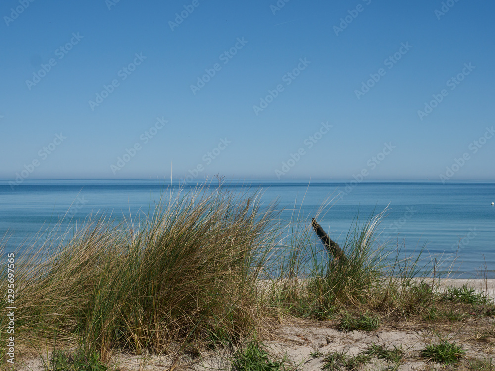 Strandlandschaft mit Dünen und Gras an der Ostsee