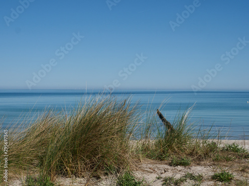 Strandlandschaft mit D  nen und Gras an der Ostsee