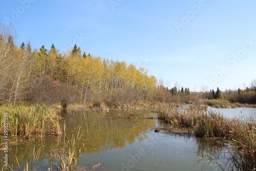 Autumn Haze On The Bay, Elk Island National Park, Alberta