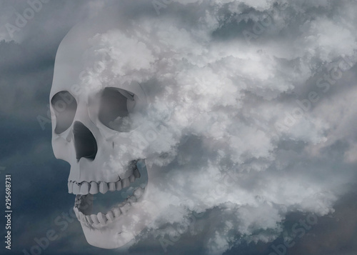 Skull wrapped in the mists of time - 3D