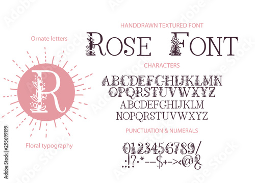 Hand drawn calligraphic vector serif font. Distress ornate floral letters. Modern calligraphy gentle type set. ABC typography latin alphabet.