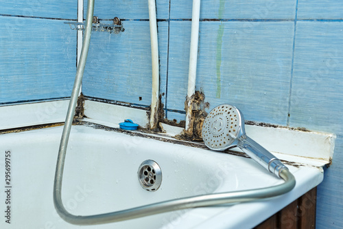 Black mold in the bathroom. The bath with shower head infected by fungus.