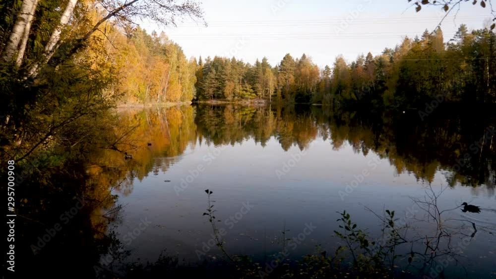 Orbiting,sliding view of a mountain lake with a stunning reflection and mallard duks on the surface of the lake Orbiting,sliding view of a mountain lake with a stunning reflection and mallard duks on the surface of the lake