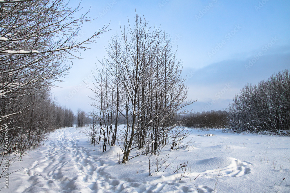 Beautiful winter landscape in the forest. Road outside the city and snowfall. Snowdrifts in the park and uncleaned street. Christmas and New Year background Beautiful winter landscape in the forest. Road outside the city and snowfall. Snowdrifts in the park and uncleaned street. Christmas and New Year background
