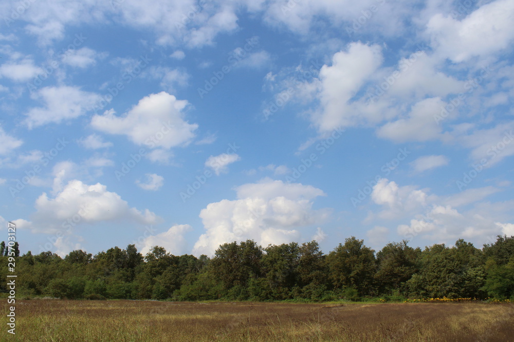 Cielo e nuvole in campagna in autunno 
