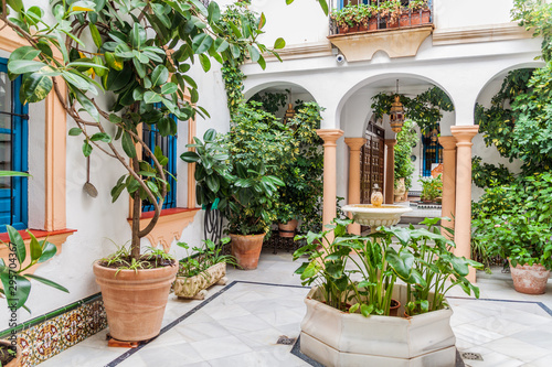Courtyard of a traditional house in Cordoba, Spain © Matyas Rehak