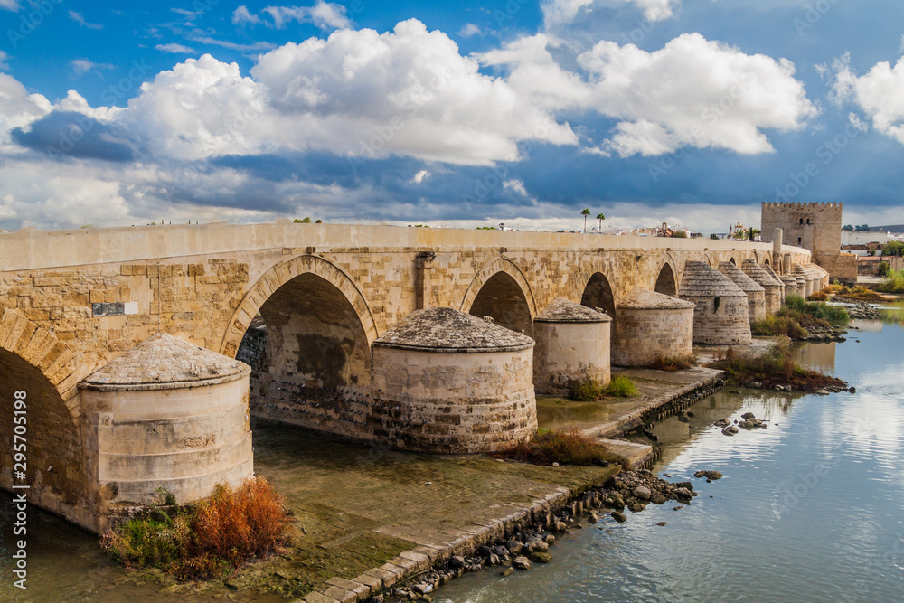 View of the Roman Bridge in Cordoba, Spain