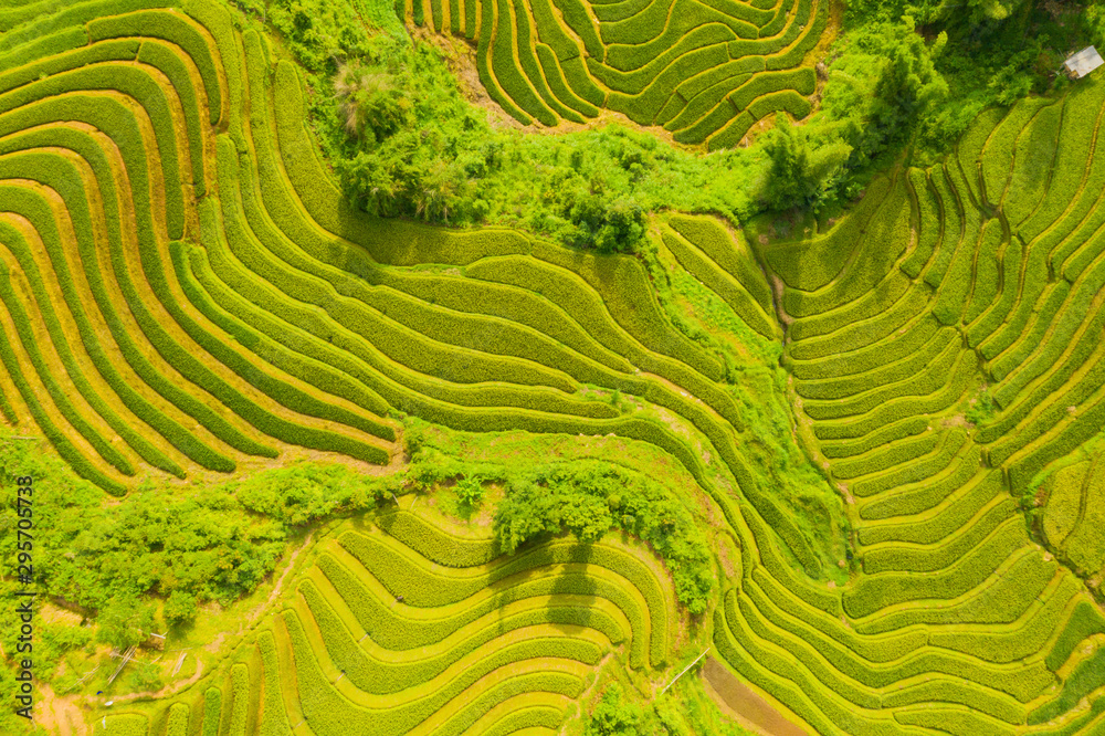 Aerial top view of paddy rice terraces, green agricultural fields in countryside or rural area of Mu Cang Chai, Yen Bai, mountain hills valley at sunset in Asia, Vietnam. Nature landscape background. - obrazy, fototapety, plakaty 