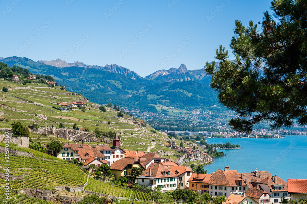View on a little winery village called Rivaz in the famous Lavaux winery area., Switzerland